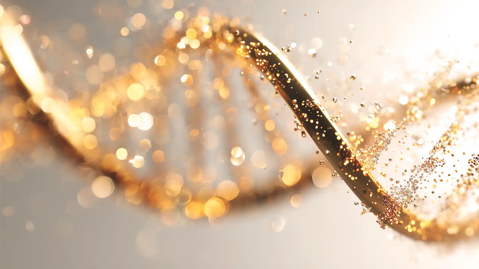 Gold DNA